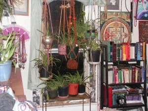 house plants in the bedroom